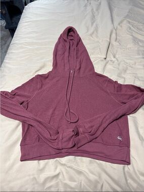 ALO Yoga Cropped Hoodie in Dusty Mauve